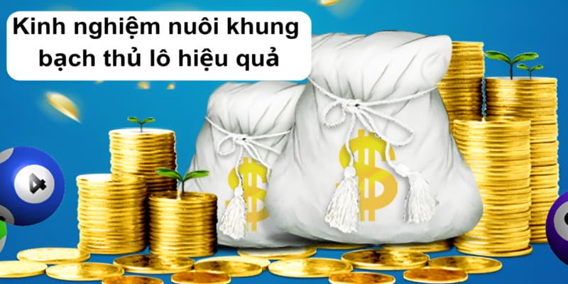 Kinh nghiệm nuôi khung bạch thủ lô hiệu quả