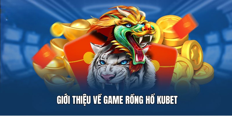 Thông tin sơ lược về Rồng hổ Kubet