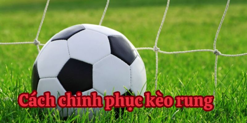 Mẹo chinh phục kèo rung cho người mới